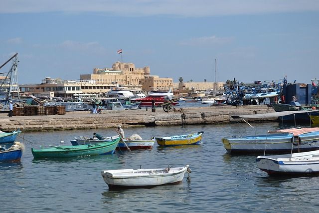 Alexandria City