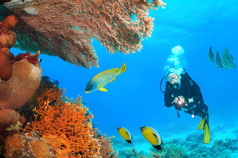 Egypt Travel Information Egypt Travel Information