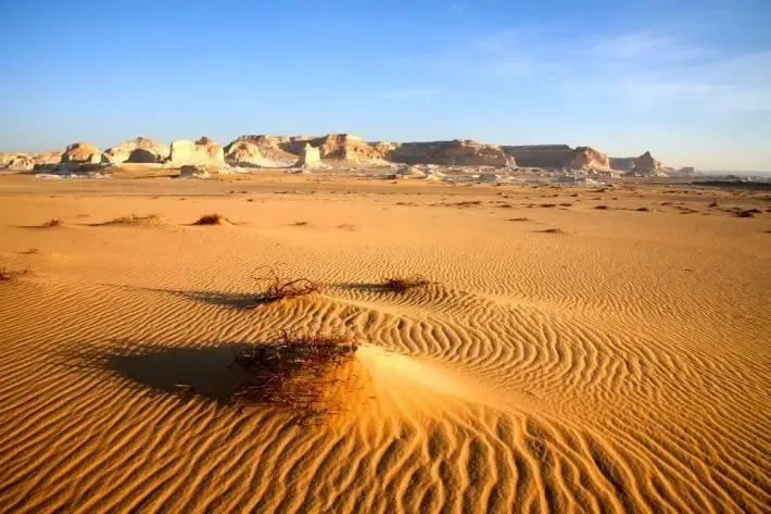 Western Desert & Others