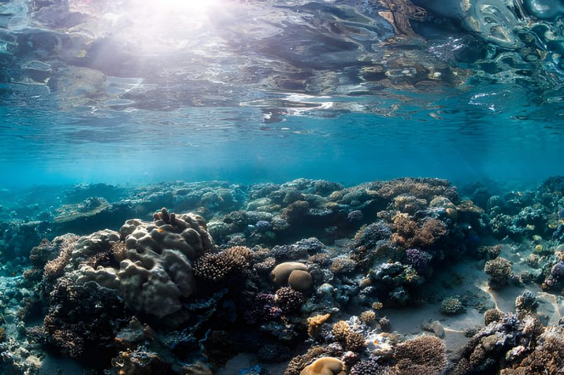 Your Guide To The Egyptian Red Sea