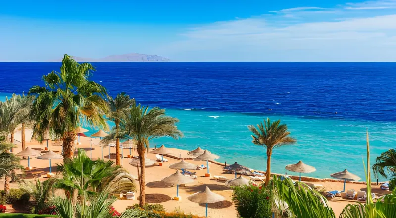 https://travistatours.com/files/large/Playas Egipto