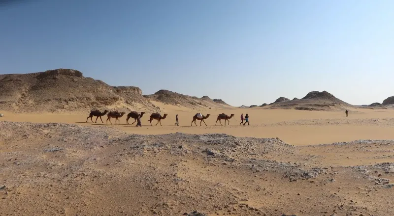 https://travistatours.com/files/large/Mejor Poca Para Visitar Egipto