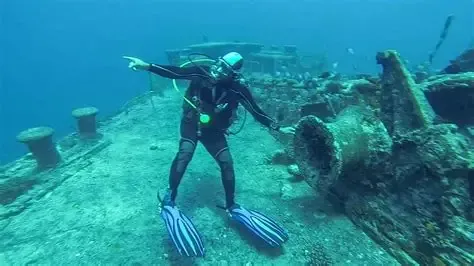 Red Sea Egypt Tours