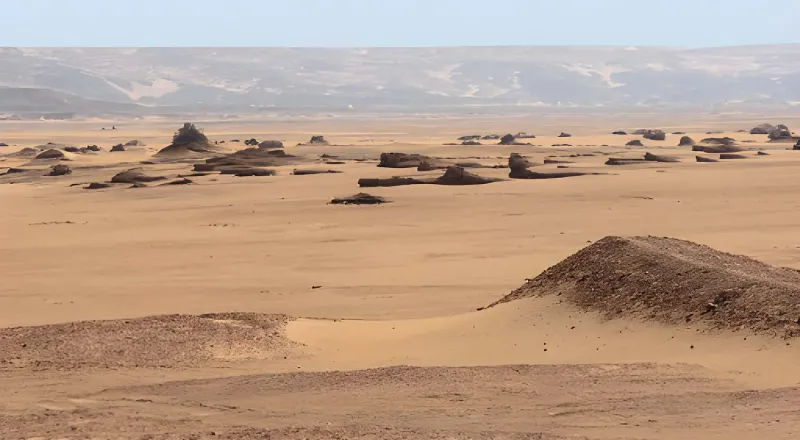 https://travistatours.com/files/large/Planificar Viaje Egipto